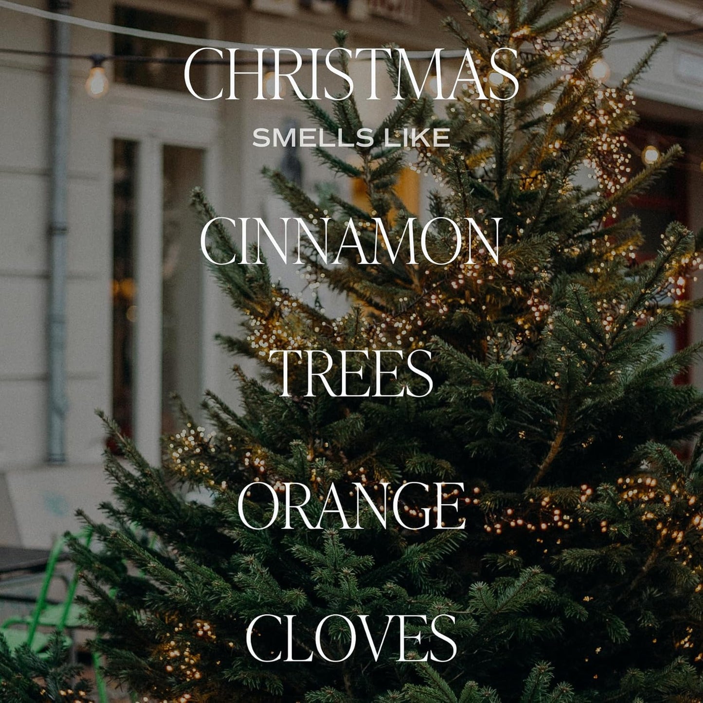 Christmas Candle | Christmas Tree, Apple Cider, and Cinnamon, Winter Holiday Scented Soy Candles for Home | 9Oz Amber Jar, 40 Hour Burn Time, Made in the USA